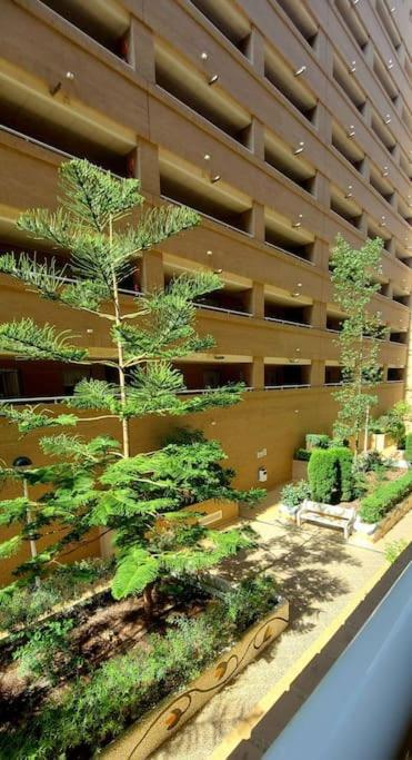 Apartamento Oropesa Del Mar- Marina D'Or- Magic World Vt30371Cs Eksteriør bilde